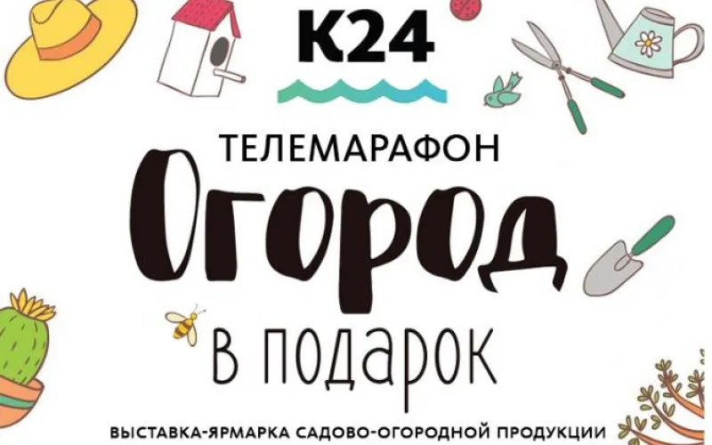 Телеканал «Катунь 24» запускает телемарафон «Огород в подарок»