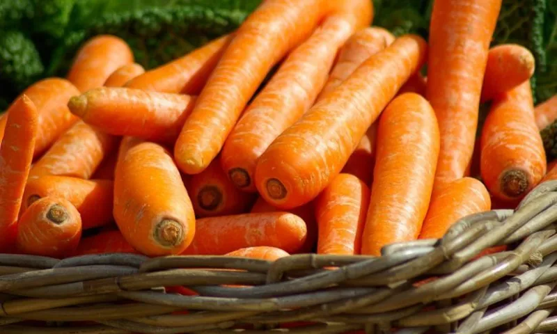 Сегодня в Барнауле пройдут продуктовые ярмарки