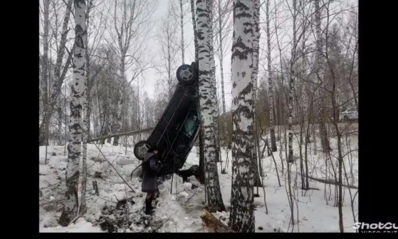 Смертельное ДТП произошло на трассе в Заринском районе