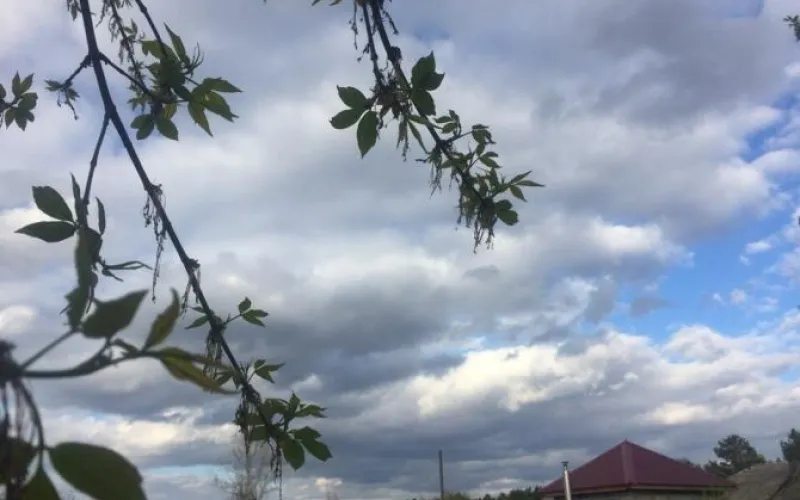 Резкое потепление: о погоде в Алтайском крае 25 мая