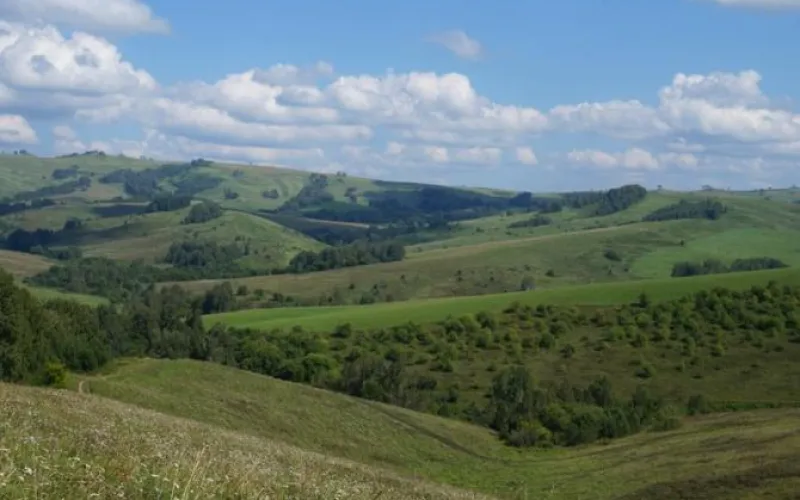 Выборы губернатора Алтайского края пройдут в сентябре 2018 года 