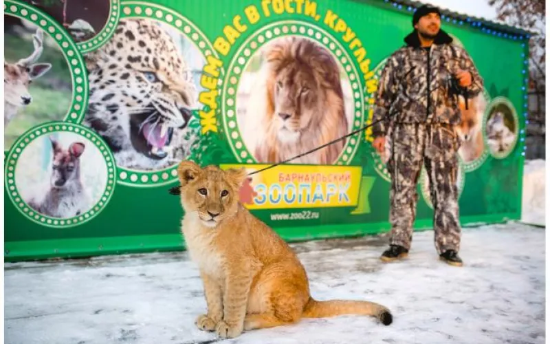 Барнаульский зоопарк приняли в Союз зоопарков и аквариумов России 