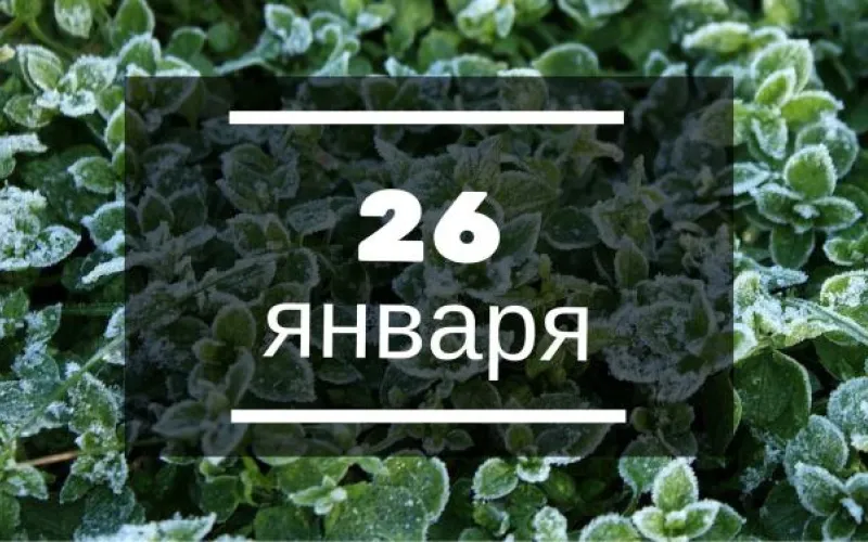 Планы на день: пересмотреть фильмы с Полом Ньюманом и дать совет телеканалу «Катунь 24»