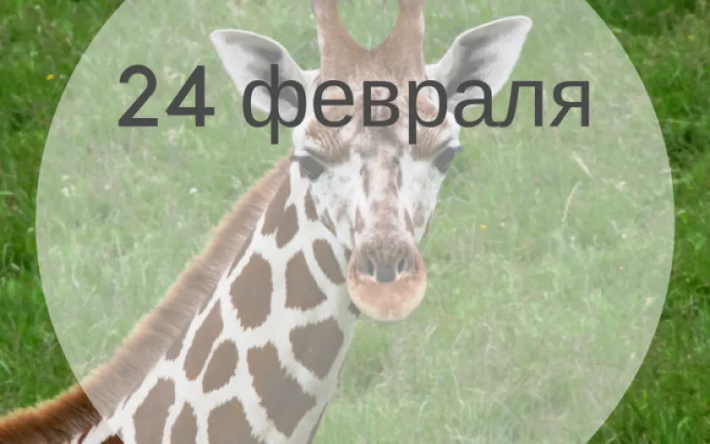 Планы на день: 24 февраля – что ждёт вас сегодня?