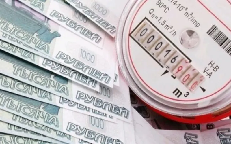 Госинспекция Алтайского края поставила точку в многолетнем «тепловом» споре