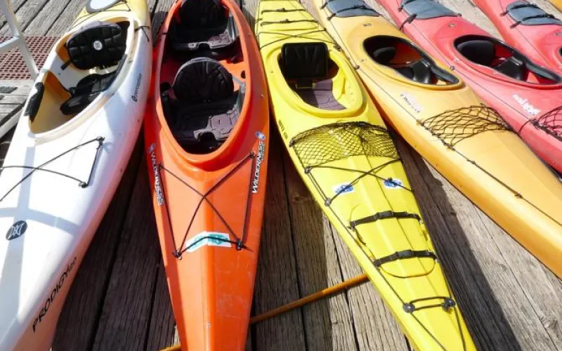 Всероссийские соревнования по гребле на байдарках и каноэ стартовали в Барнауле