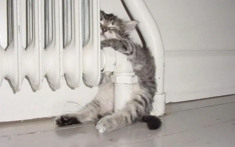 В Барнауле 97% жилых домов подключены к теплу