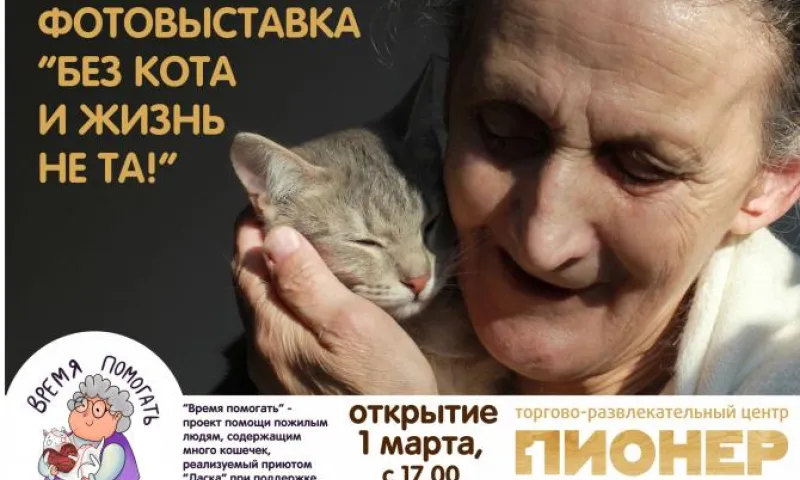 Фотовыставка «Без кота и жизнь не та» откроется в Барнауле