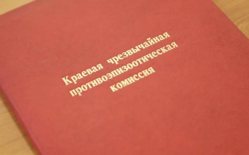 Вопросы профилактики гриппа птиц обсудили в правительстве Алтайского края