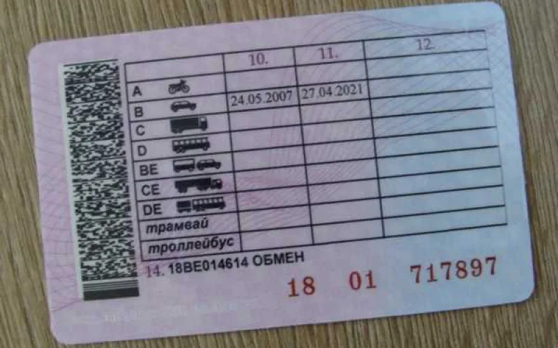 Как изменилась процедура замены водительского удостоверения: разъяснения Госавтоинспекции Алтайского края