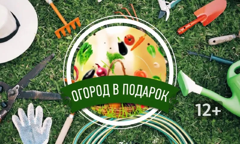 «Огород в подарок»: работы в саду и огороде в августе