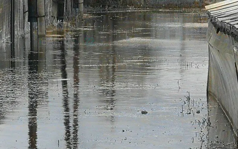 Село Лебяжье вновь подверглось подтоплению
