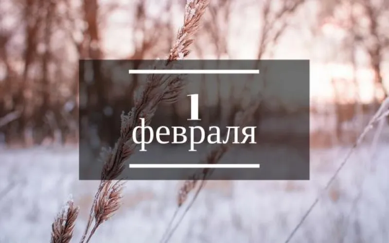 Планы на день: стать stand up комиком, познакомиться с леопардом Елисеем и выбрать место для катания на лыжах