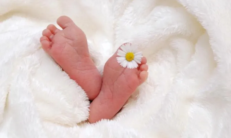 Школа будущих родителей появится в Барнауле