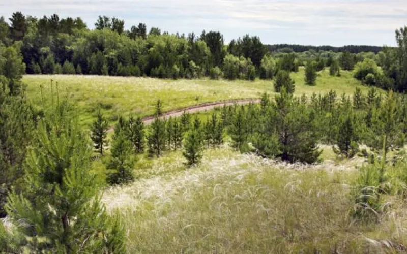 Лето в апреле: алтайские синоптики рассказали о погоде на месяц
