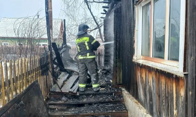 При пожаре в Панкрушихинском районе погиб пенсионер