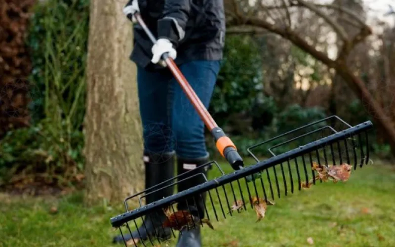 Барнаульцы выйдут на очистку города 