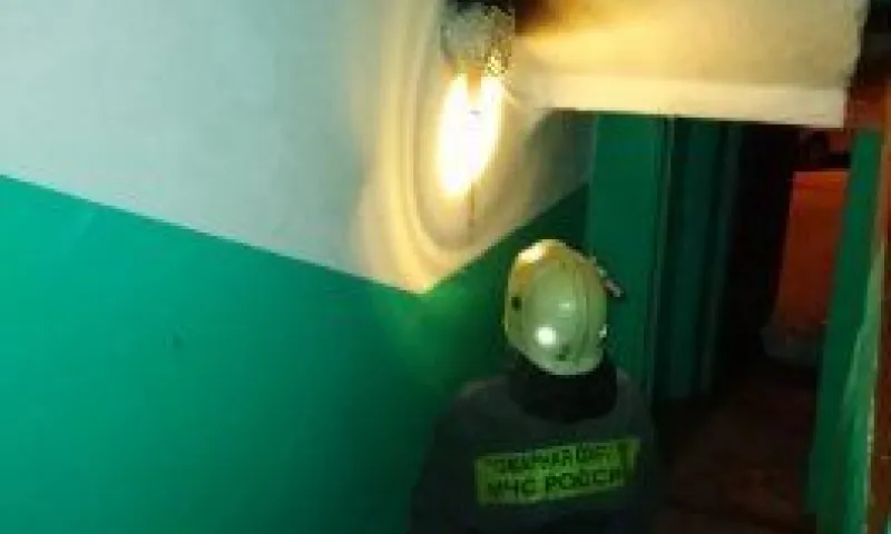 Пожар в многоквартирном доме в Барнауле потушили до приезда пожарных