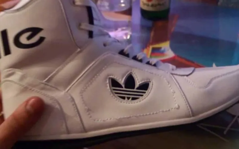 Поддельные спортивные товары не смогли провезти через Алтайскую таможню 