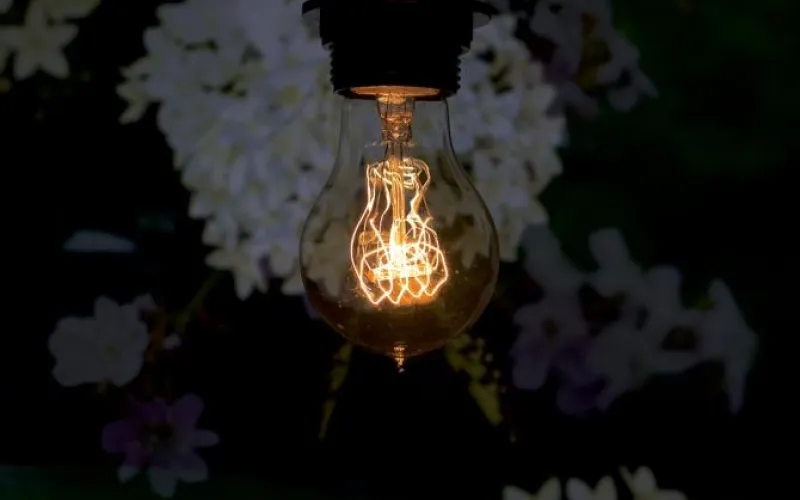 Алтайский предприниматель заплатит более полумиллиона за незаконное пользование электроэнергией