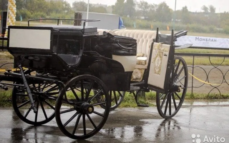 Жители Славгорода продают старинную баварскую карету и пару аэростатов