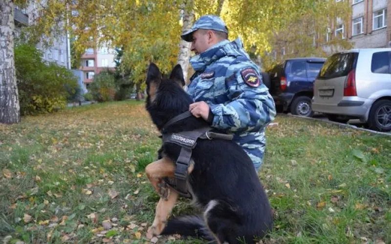 Служебная собака помогла барнаульским полицейским раскрыть кражу