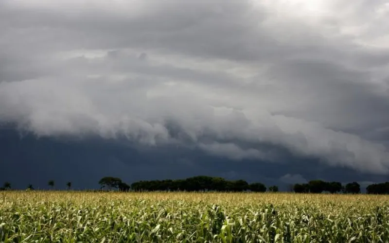 Резкое ухудшение погоды ожидается в Алтайском крае