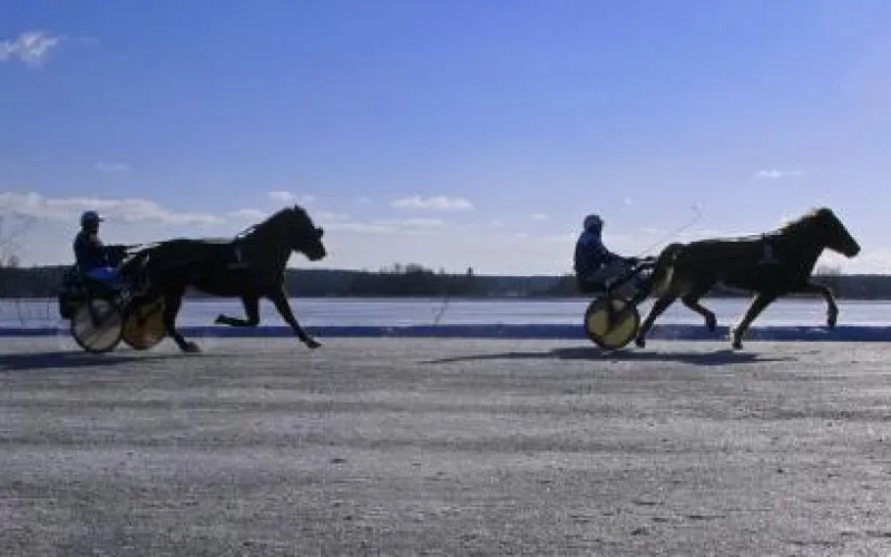 «Большие  зимние бега-2018» пройдут в Барнауле 