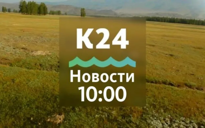  Бийский приют для животных восстанавливают после пожара, и уголовное дело о взрыве на Бийском олеумном заводе направлено в суд