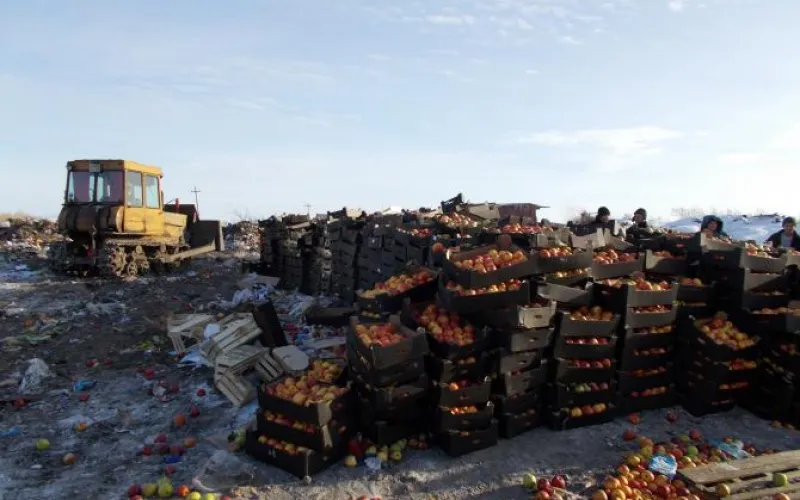 Более 57 тонн санкционной продукции уничтожили в Алтайском крае за 2017 год