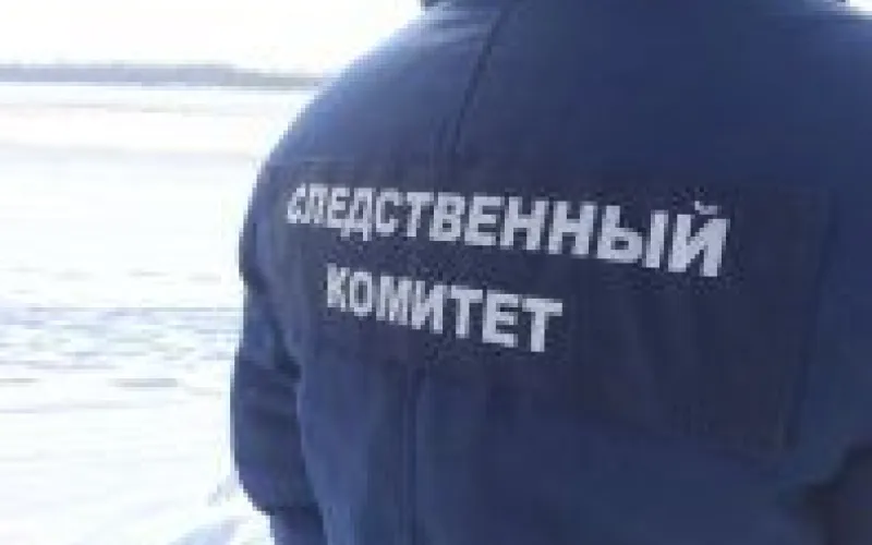 Отец с маленькой дочерью провалились под лёд в Алтайском крае 