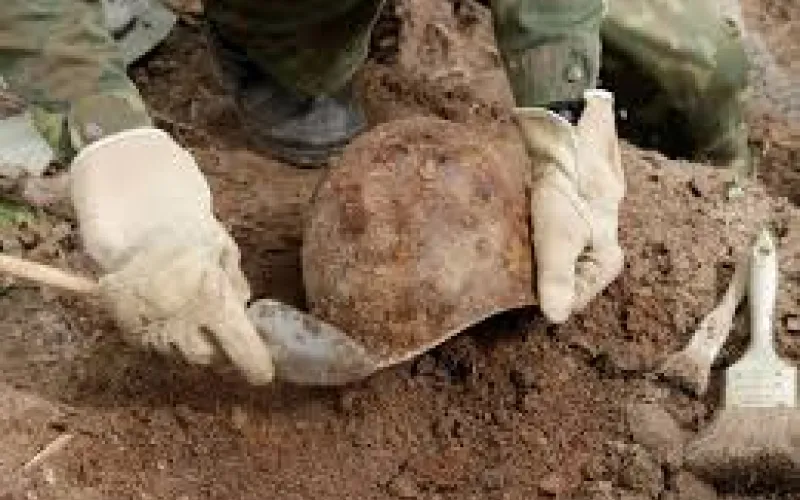 Останки алтайских красноармейцев, погибших в годы ВОВ, передадут родственникам