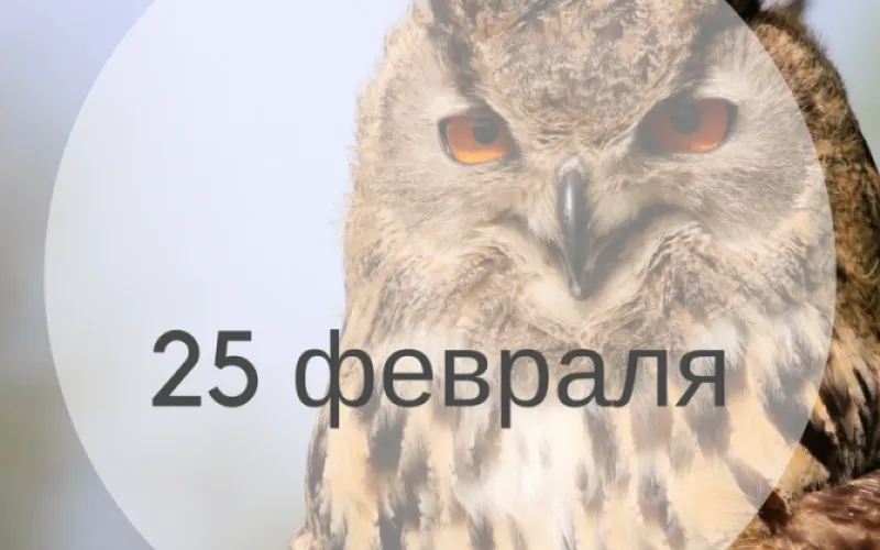 Планы на день: 25 февраля – последний выходной. Куда сходить сегодня?