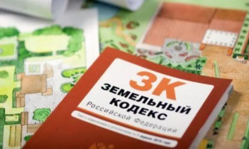 Экс-главу сельсовета осудили за махинации с землёй в Алтайском крае