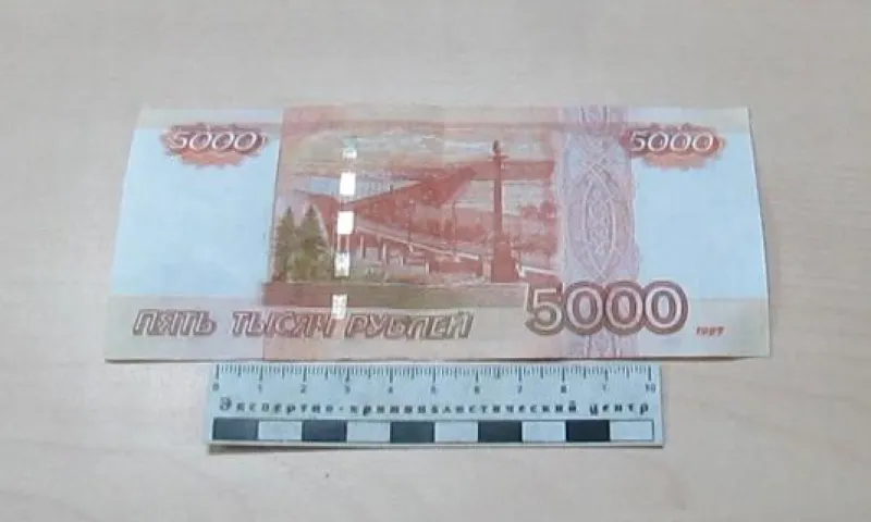 Фальшивую 5000 купюру снова обнаружили в Барнауле