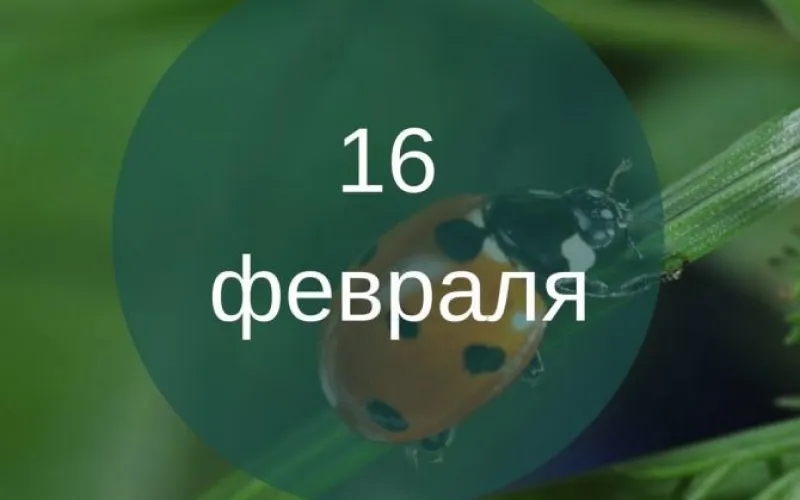 Планы на день: 16 февраля – пятница. Уже само по себе радостное событие. Ну а мы расскажем, что вас ждёт сегодня