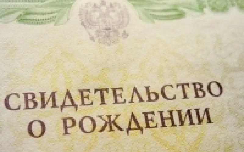 Число двойняшек растет в Барнауле