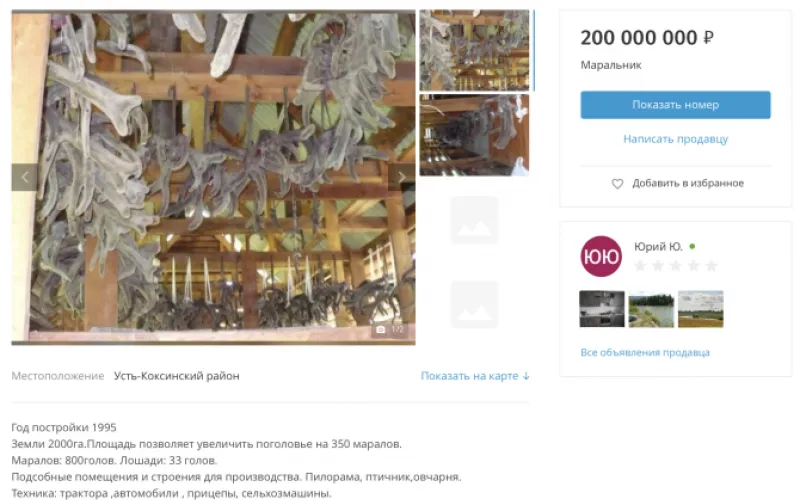 Маральник продают на Алтае за 200 млн рублей