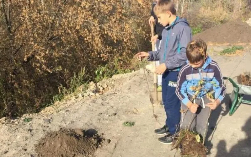 Экологическая акция #простопочистим прошла в Барнауле 