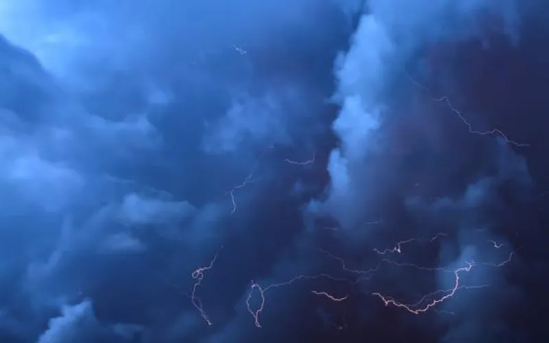 Алтайский край накроет мощная волна тепла: о погоде 31 мая