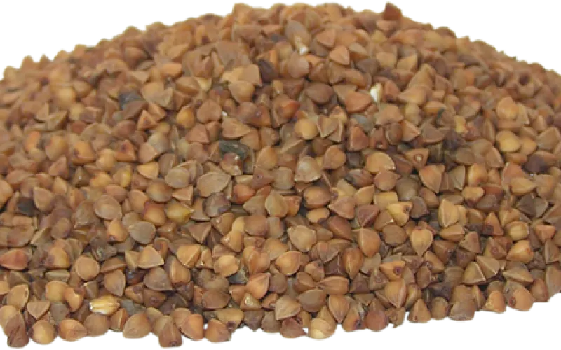 Гречка в России рекордно подешевела