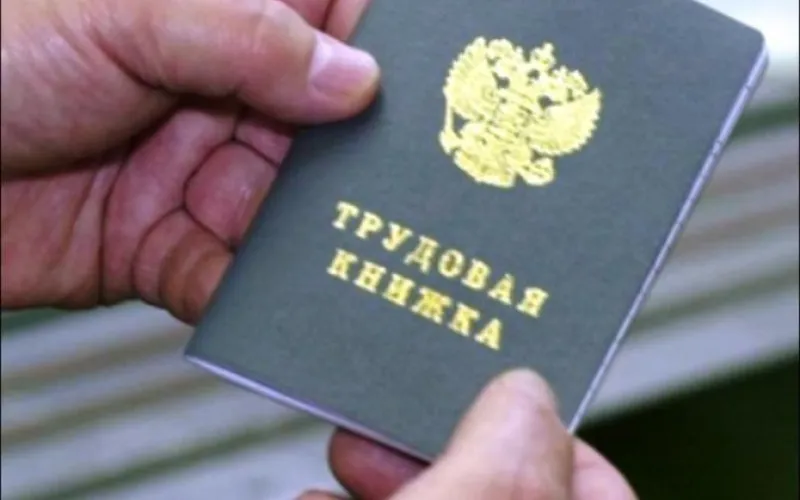 Второе место среди регионов Сибири по трудоустройству занял Алтайский край