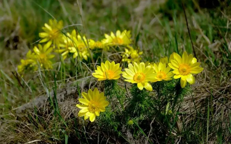 О погоде в Алтайском крае 15 апреля