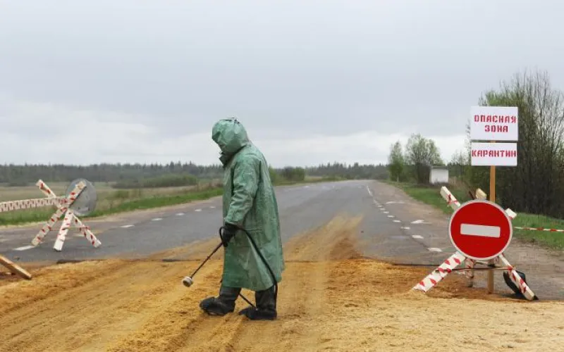 Карантин из-за вспышки бешенства введен в Алтайском крае