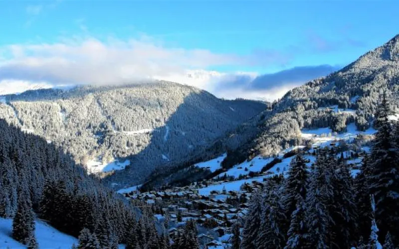 Объекты Алтайского края могут попасть в «Золотое кольцо Сибири»