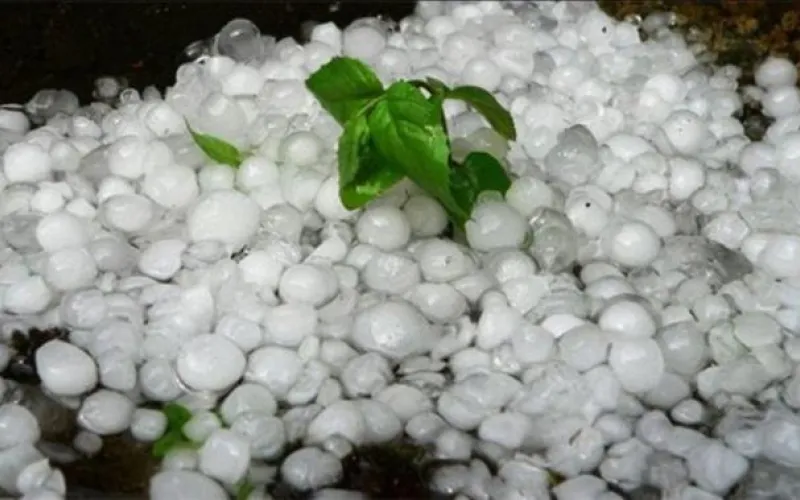 Усиление ветра, сильный град: МЧС предупредило жителей региона о непогоде 