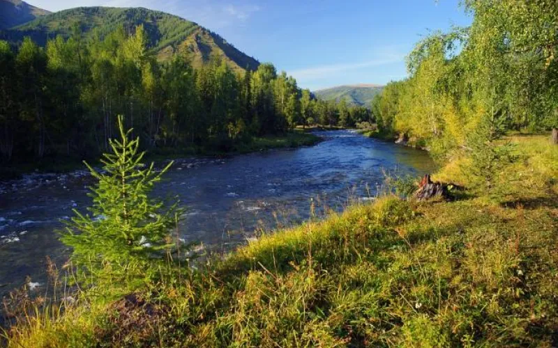 Женщина утонула на Алтае в реке Чумыш