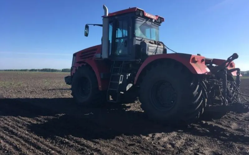 Режим ЧС из-за проблем с посевной вводится в Алтайском крае