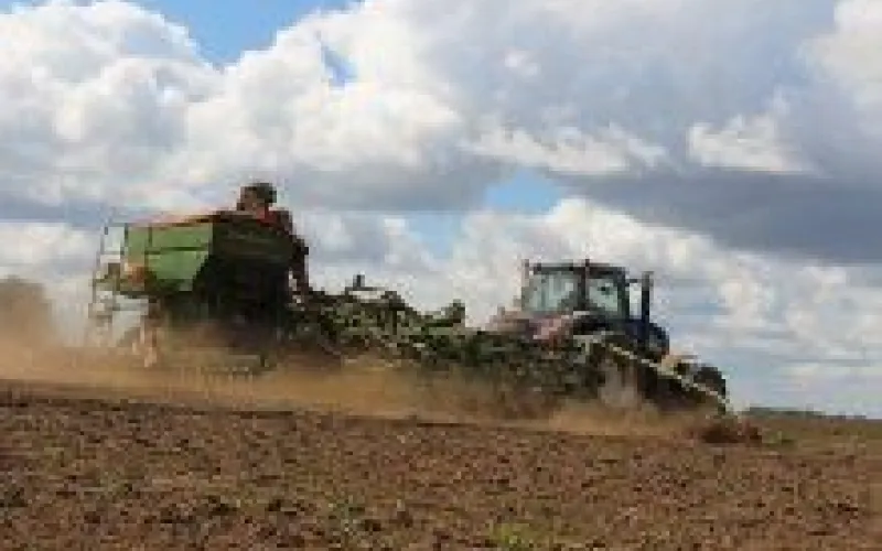 Яровой сев продолжается в Алтайском крае