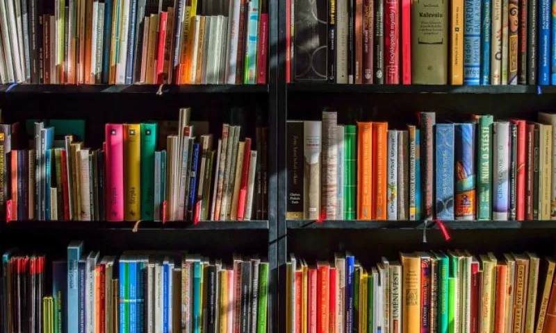 Рассказываем, какие книги стали самыми популярными у барнаульцев в 2018 году